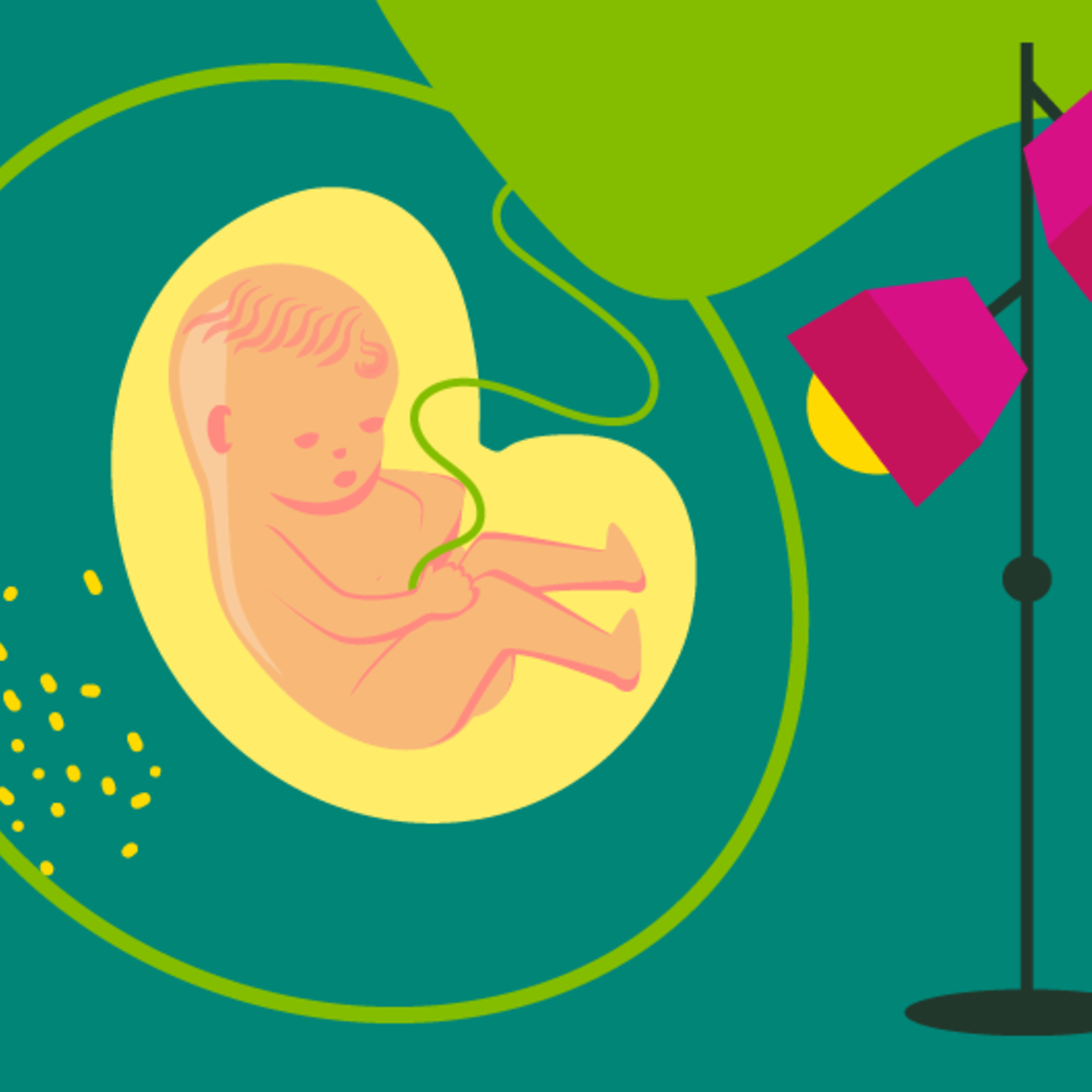 Illustration eines Embryos und einer schwangeren jungen Frau, die die Hand auf den Bauch legt in der 19.SSW