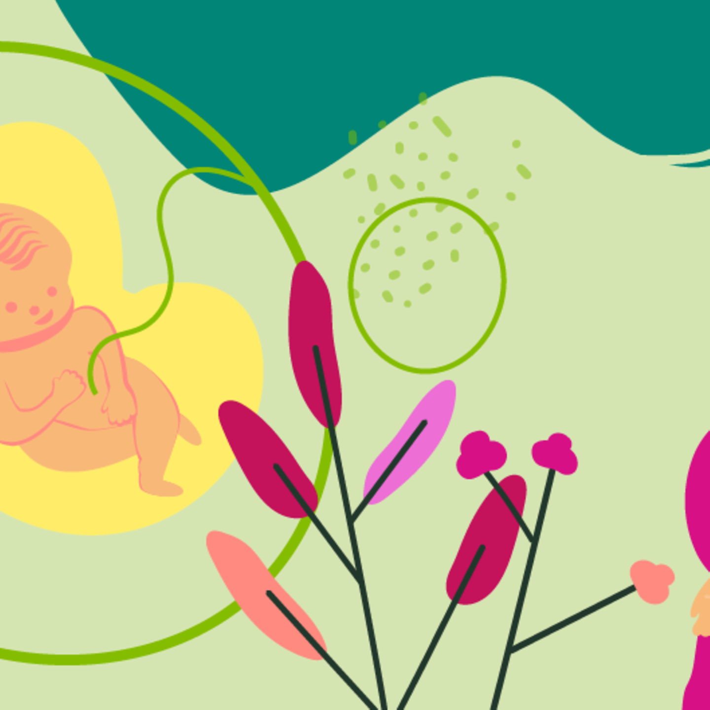 Illustration eines Fötus und einer jungen schwangeren Frau, die die Hand auf den Bauch legt in der 21.SSW