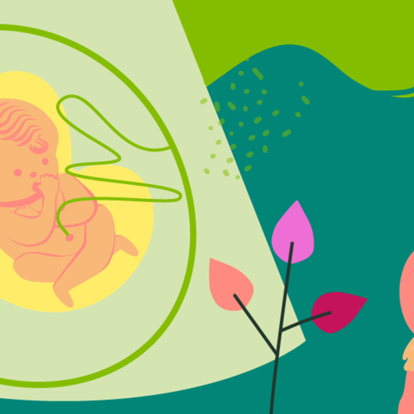 Illustration eines Fötus und einer jungen schwangeren Frau, die die Hand auf den Bauch legt in der 23.SSW