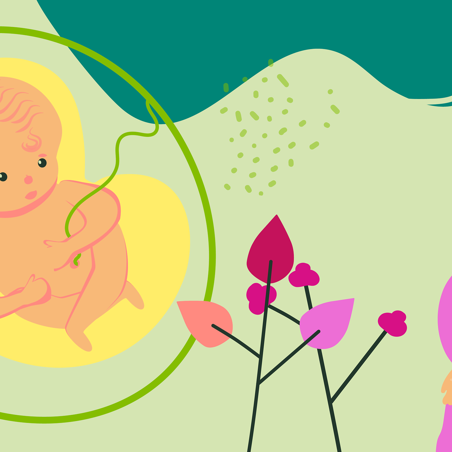 Illustration eines Fötus und einer jungen schwangeren Frau, die die Hand auf den Bauch legt in der 25.SSW