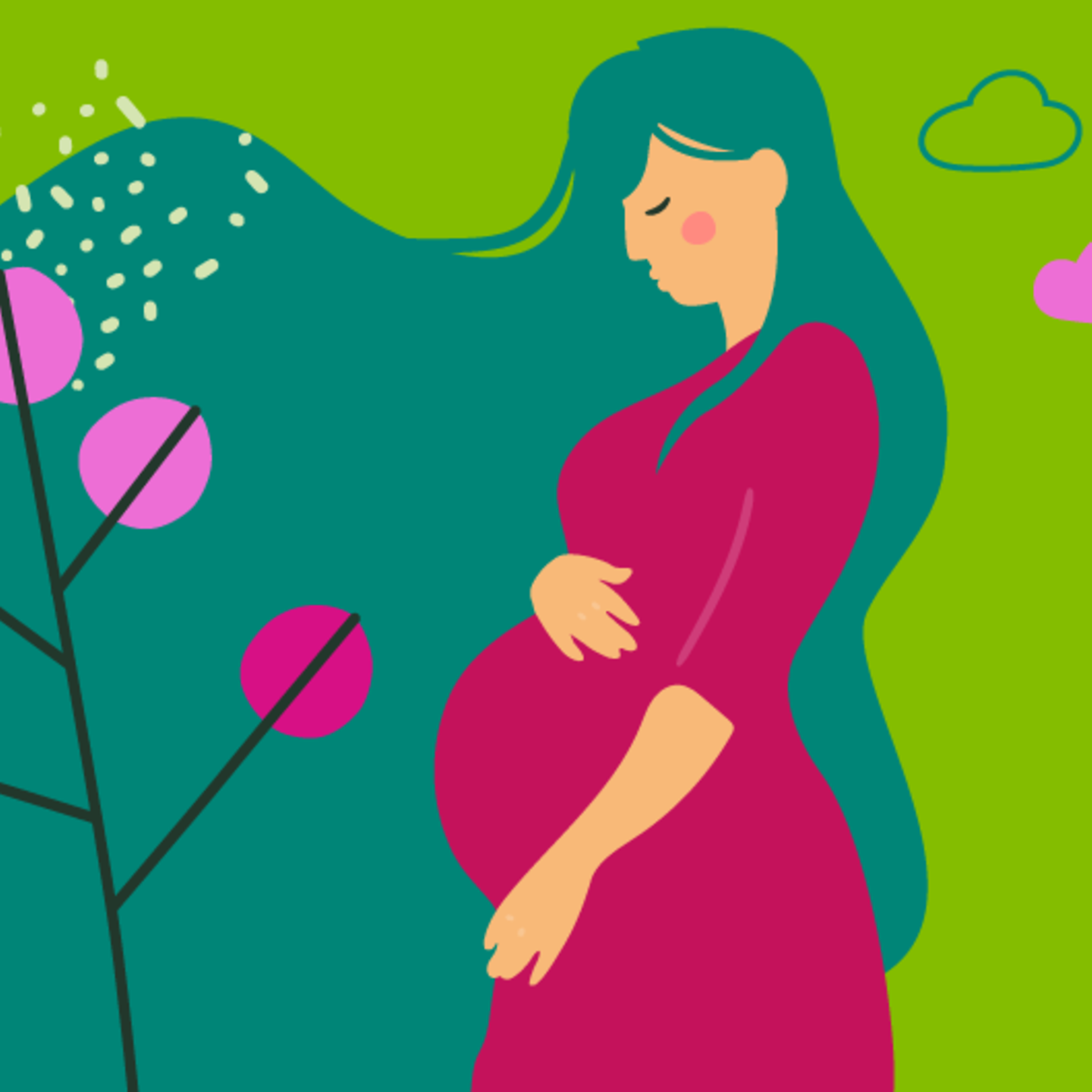 Illustration eines Fötus und einer jungen schwangeren Frau, die die Hand auf den Bauch leg in der 30. SSW