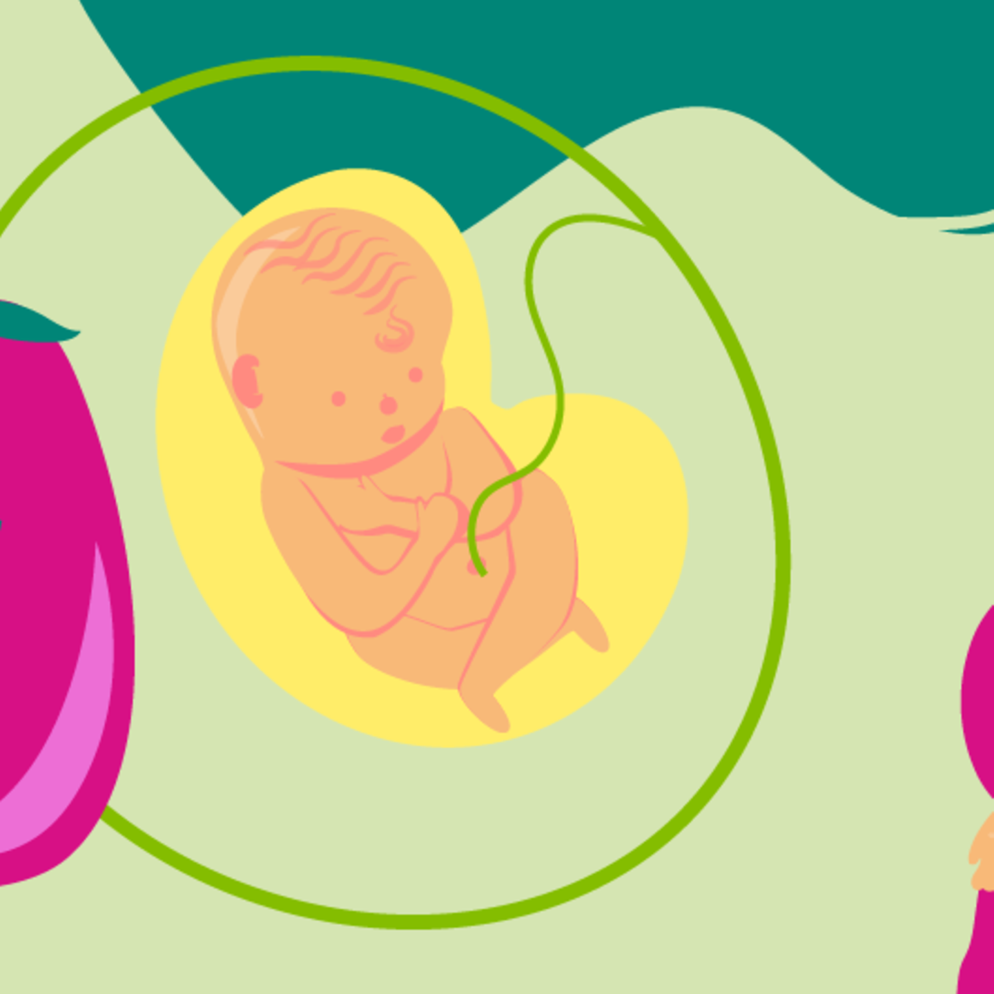 Illustration eines Fötus und einer jungen schwangeren Frau, die die Hand auf den Bauch legt in der 26.SSW