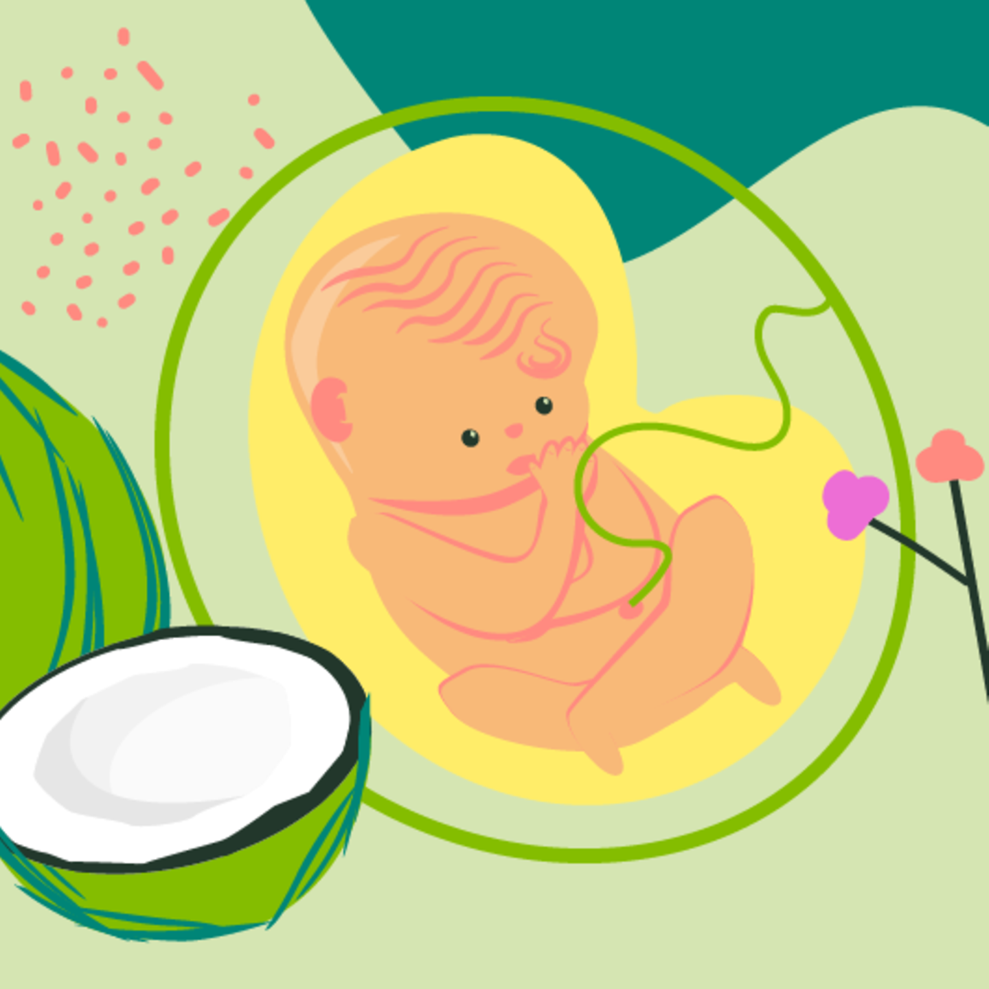 Illustration eines Fötus und einer jungen schwangeren Frau, die die Hand auf den Bauch leg in der 31. SSW