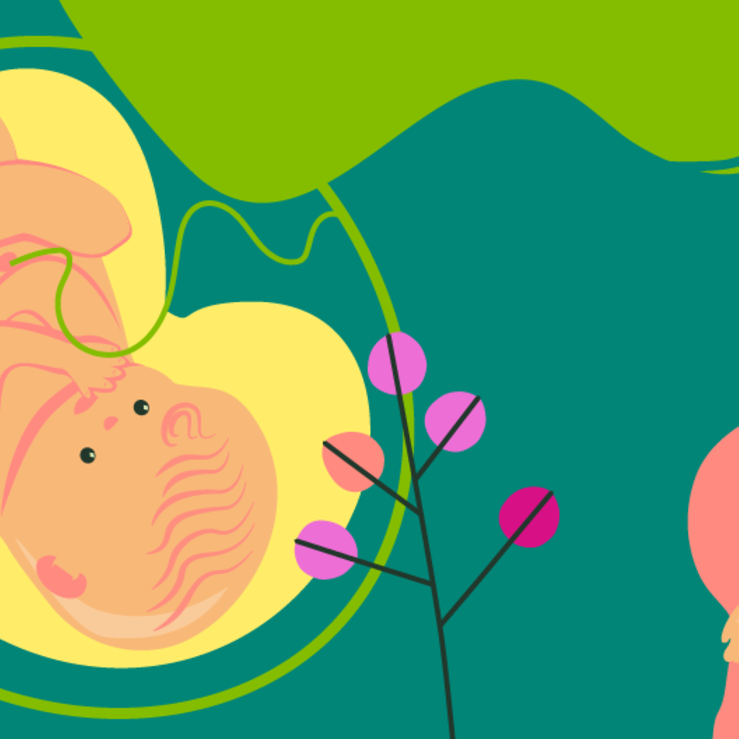 Illustration eines Fötus und einer jungen schwangeren Frau, die die Hand auf den Bauch leg in der 33. SSW