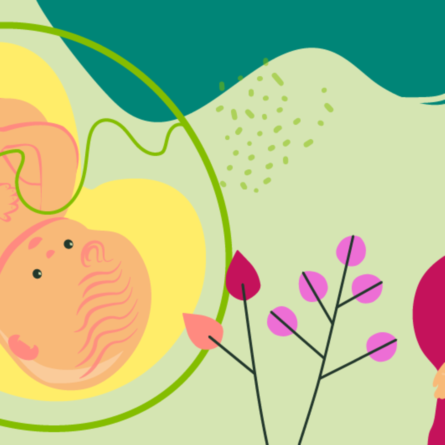 Illustration eines Fötus und einer jungen schwangeren Frau, die die Hand auf den Bauch leg in der 37. SSW