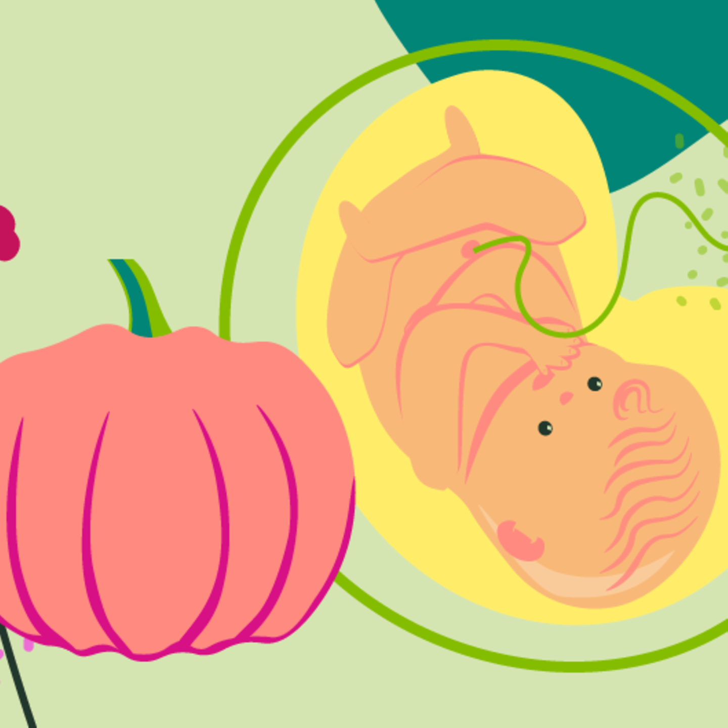 Illustration eines Fötus und einer jungen schwangeren Frau, die die Hand auf den Bauch leg in der 38. SSW