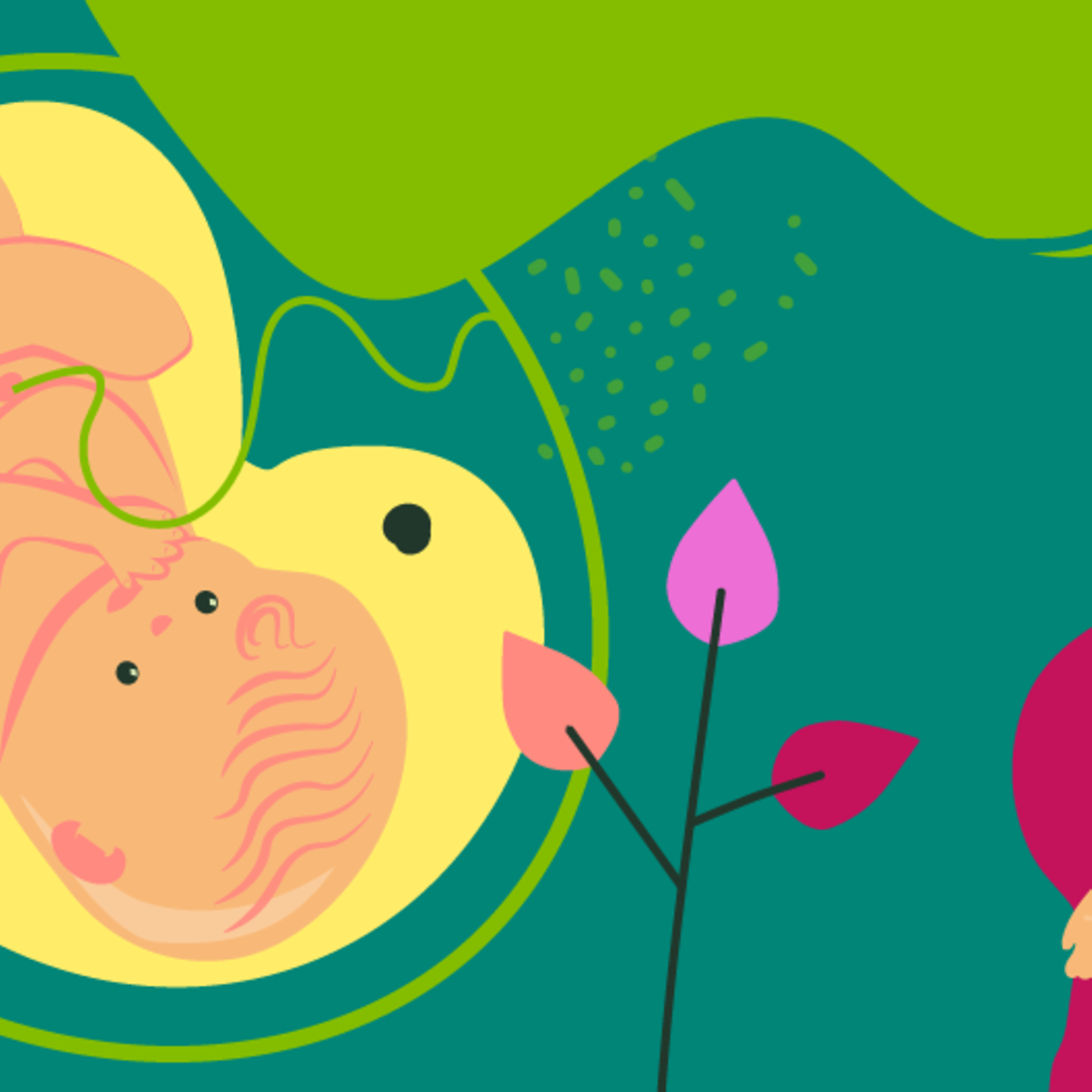 Illustration eines Fötus und einer jungen schwangeren Frau, die ihre Hand auf ihren Bauch legt - in der 36. SSW.