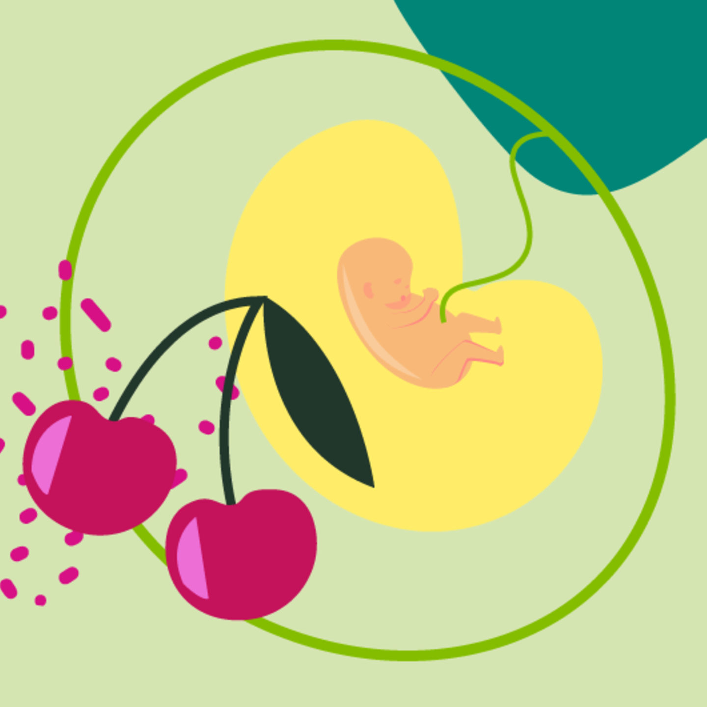 Illustration eines Fötus und einer jungen schwangeren Frau, die die Hand auf den Bauch legt in der 9.SSW