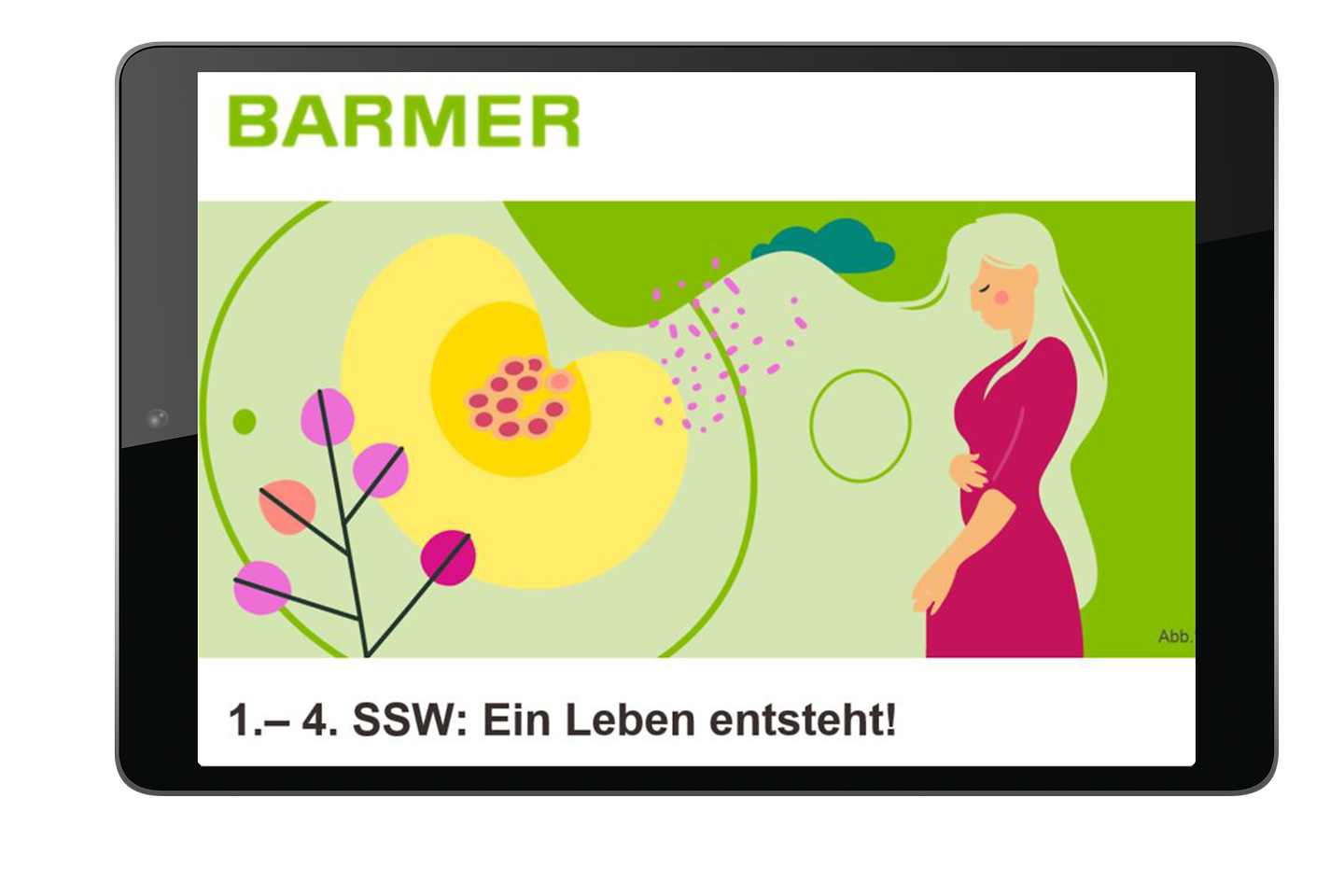 Der Schwangerschaftsnewsletter auf einem Tablet