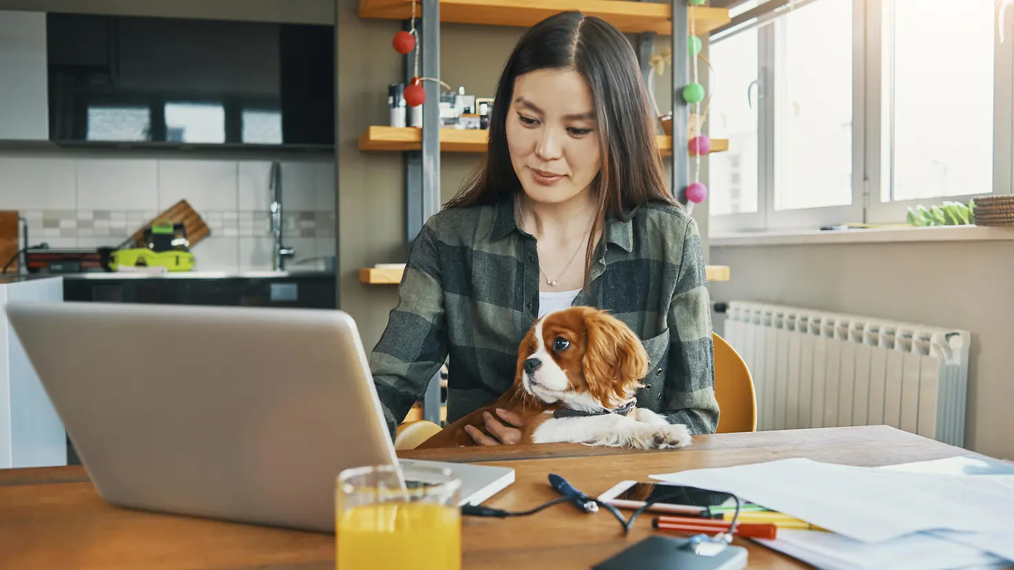 Eine junge Frau sitzt am Tisch am Laptop und hat einen Hund auf dem Schoß