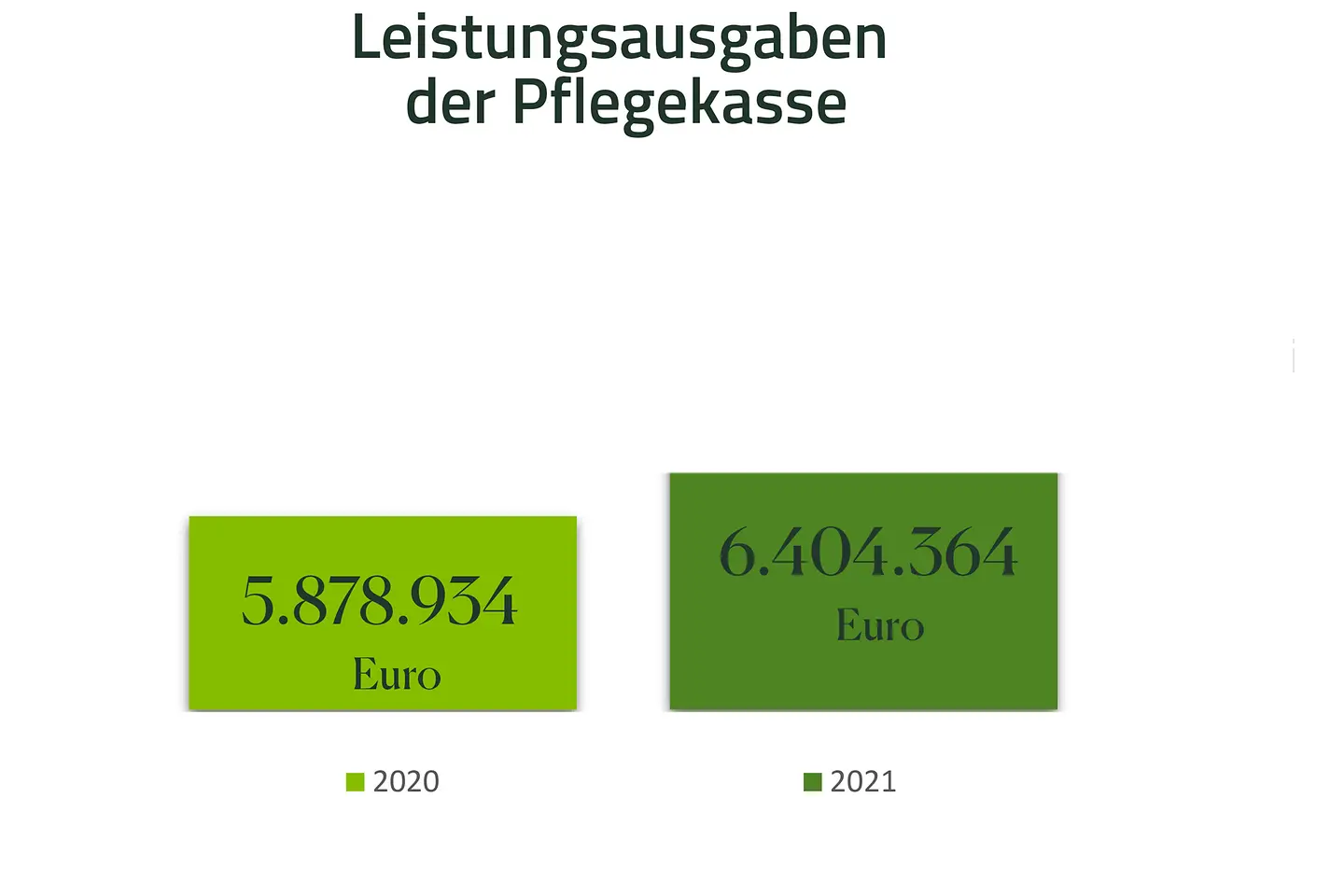 Infografik-Leistungsausgaben der Pflegekasse