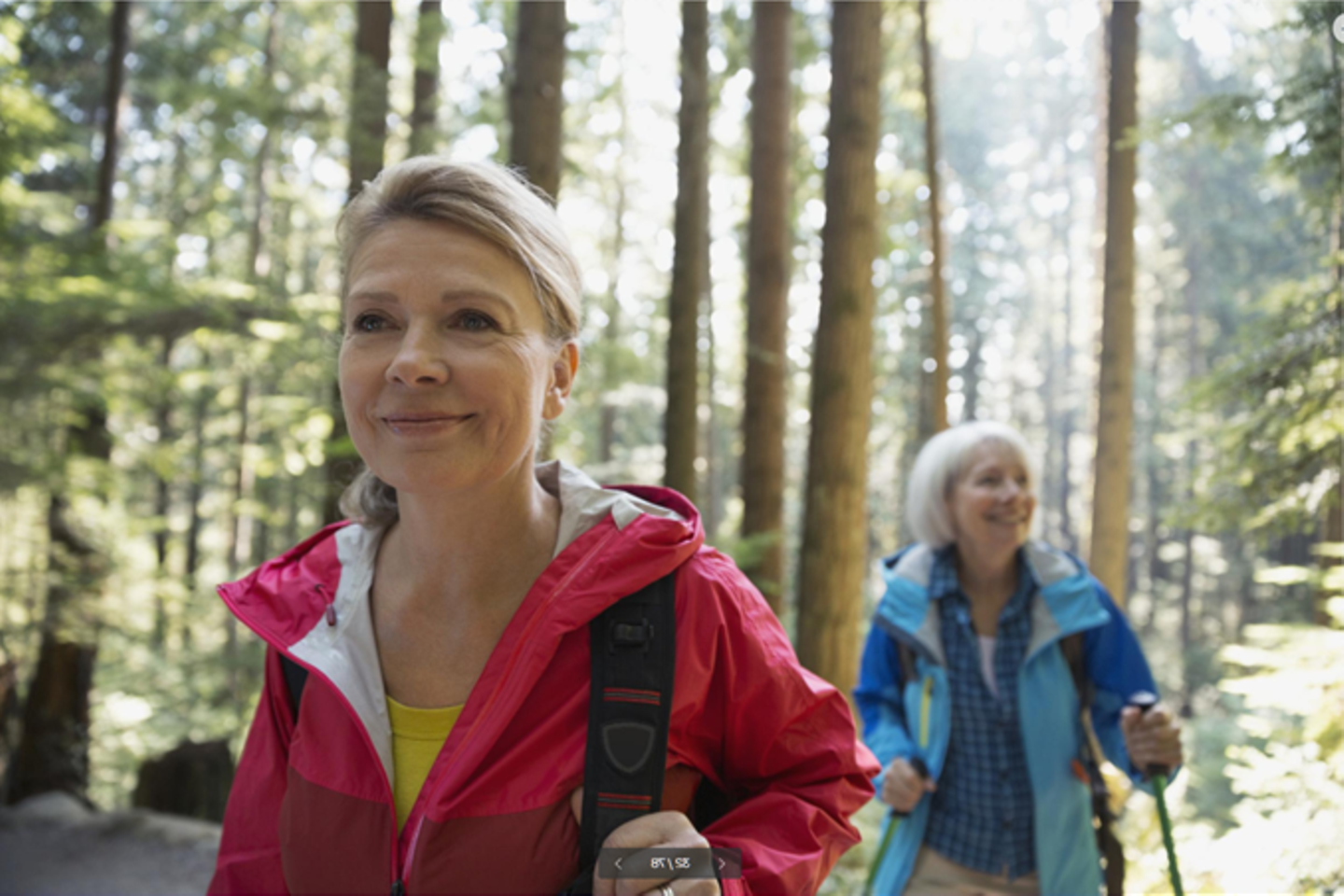 Zwei Frauen mittleren Alters wandern zusammen durch den Wald und sehen glücklich aus.