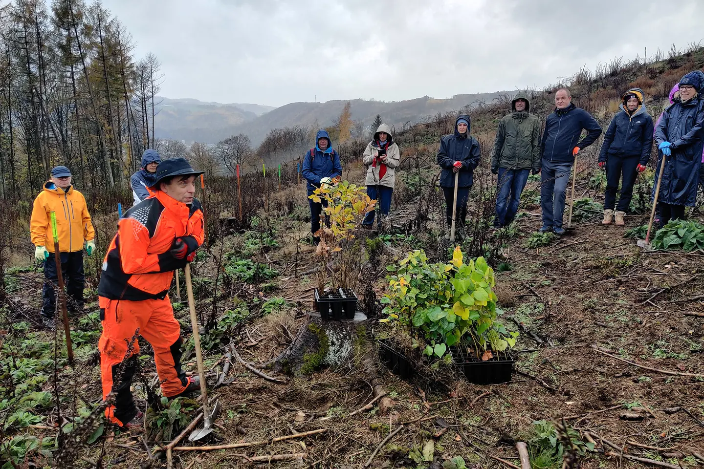 News-Teaser-Bild No27 Corporate Volunteering Day 2022