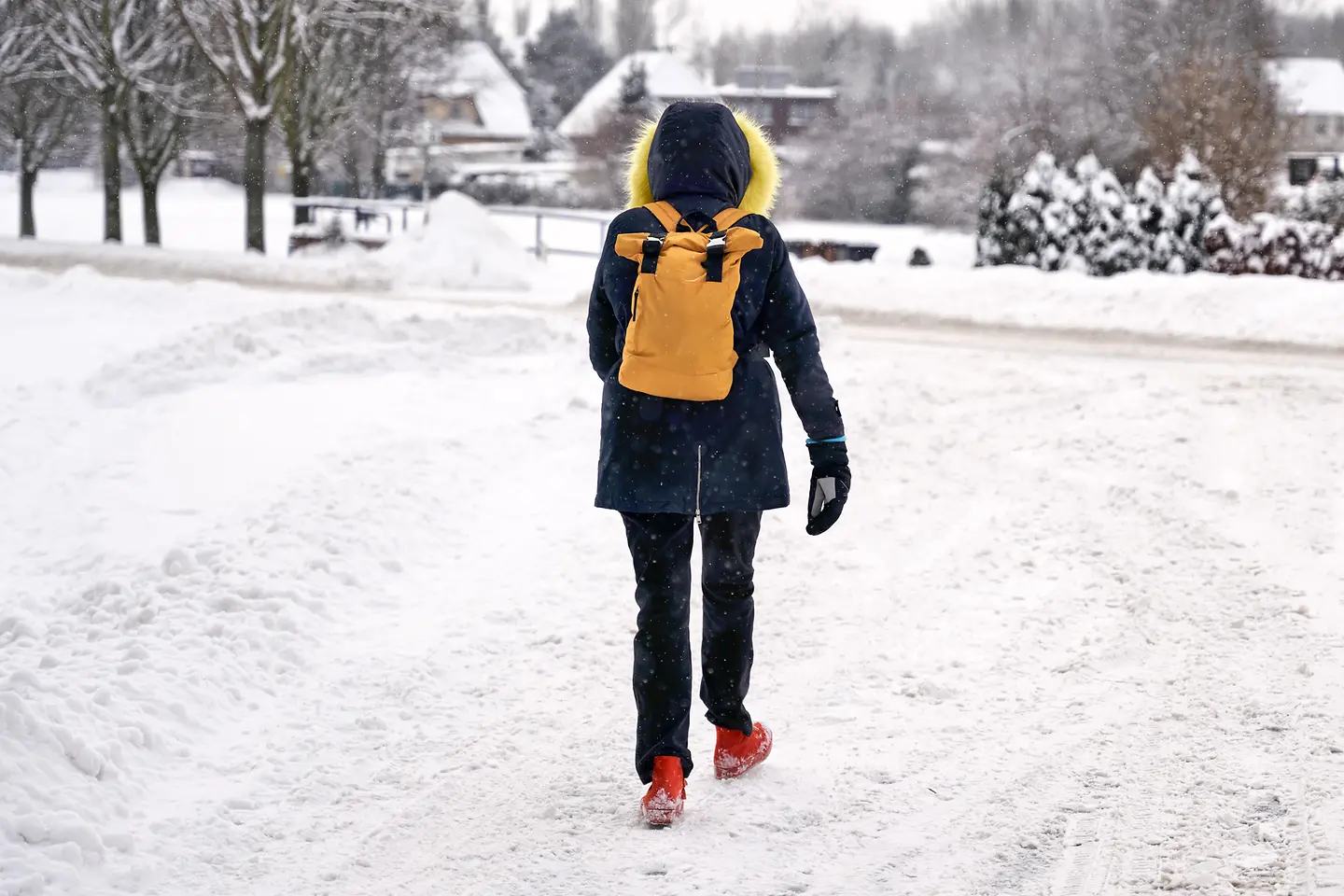 Zu sehen ist ein Fußgänger im Winter