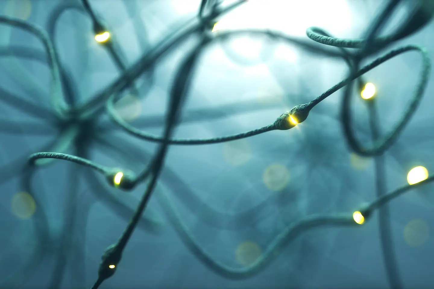 Stilisierte Darstellung von Neuronenzellen