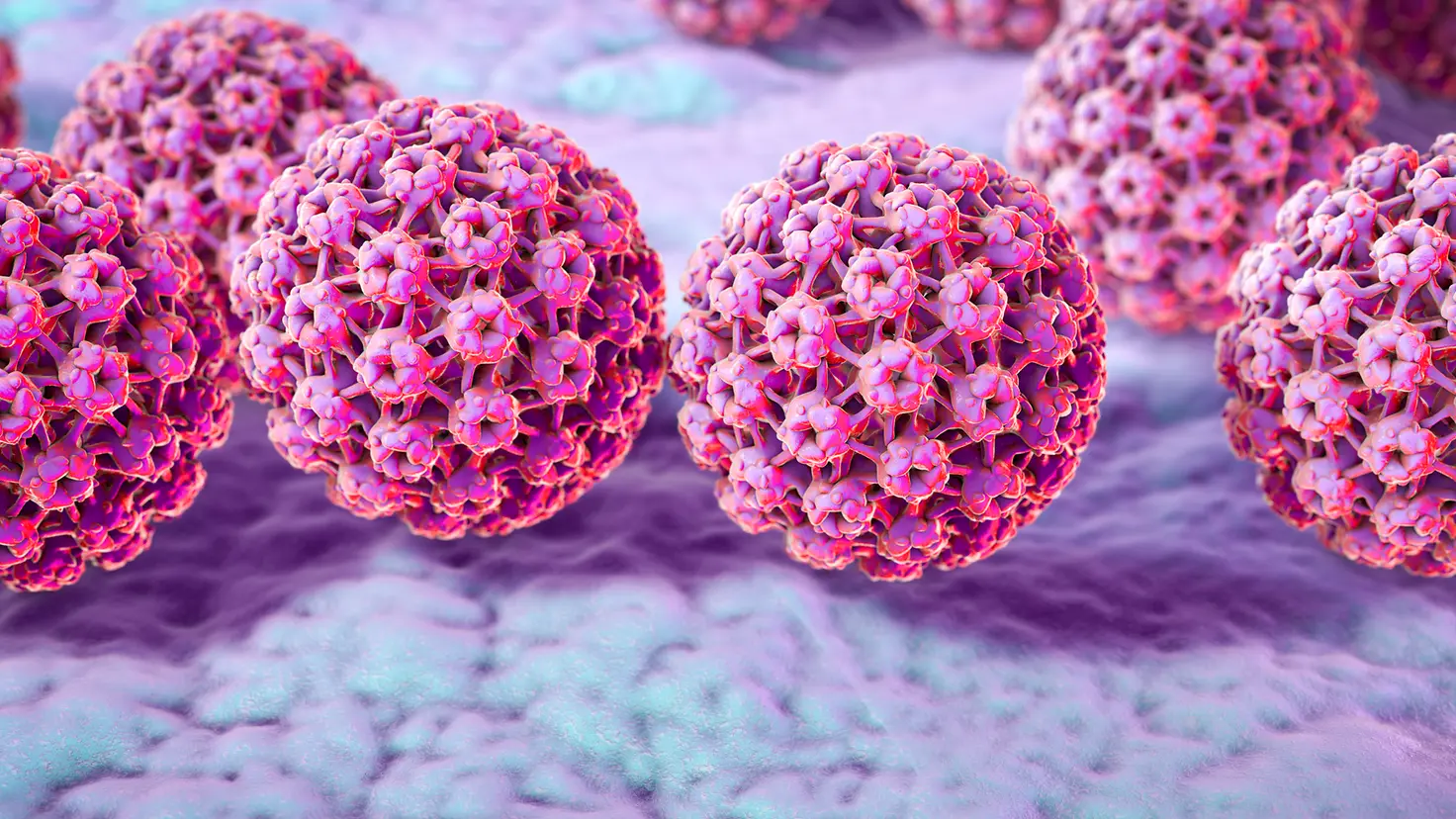 Computerillustration von Humanen Papillomviren