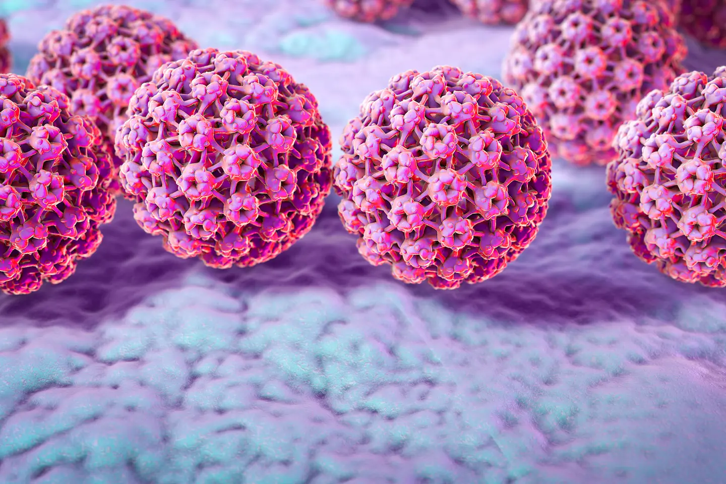 Computerillustration von Humanen Papillomviren