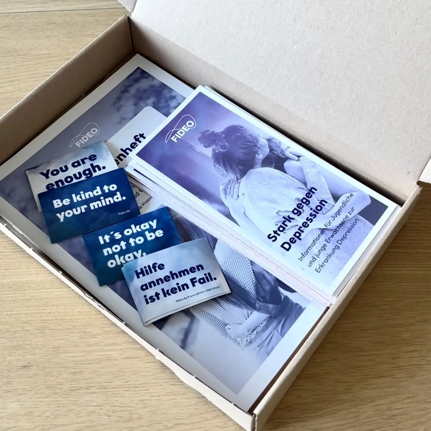 Inhalt der FIDEO Schulbox-Depression