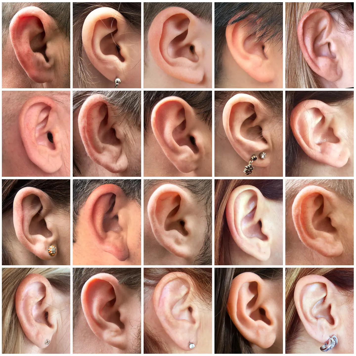 Zu sehen sind Ohren von verschiedenen Menschen 