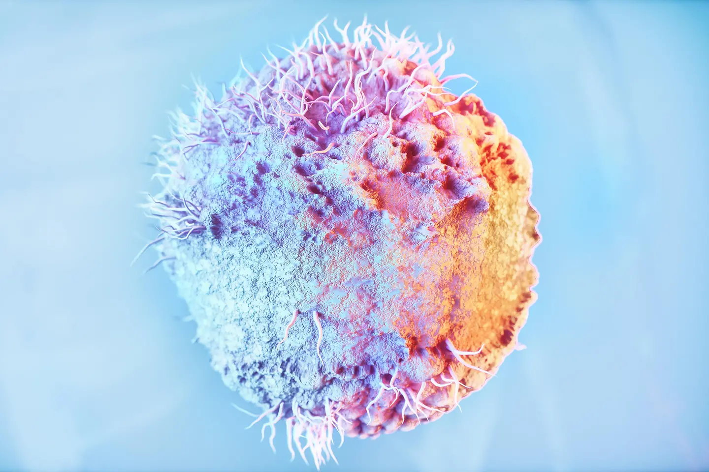 Zu sehen auf diesem Bild ist ein stark vergrößertes Herpesvirus.