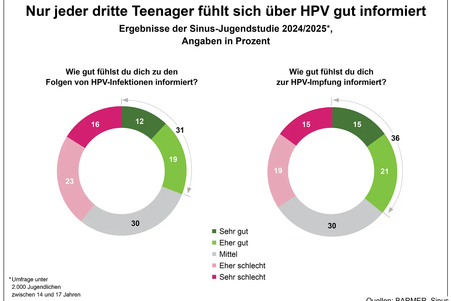 Die Grafik zeigt den Kenntnisstand zu HPV an