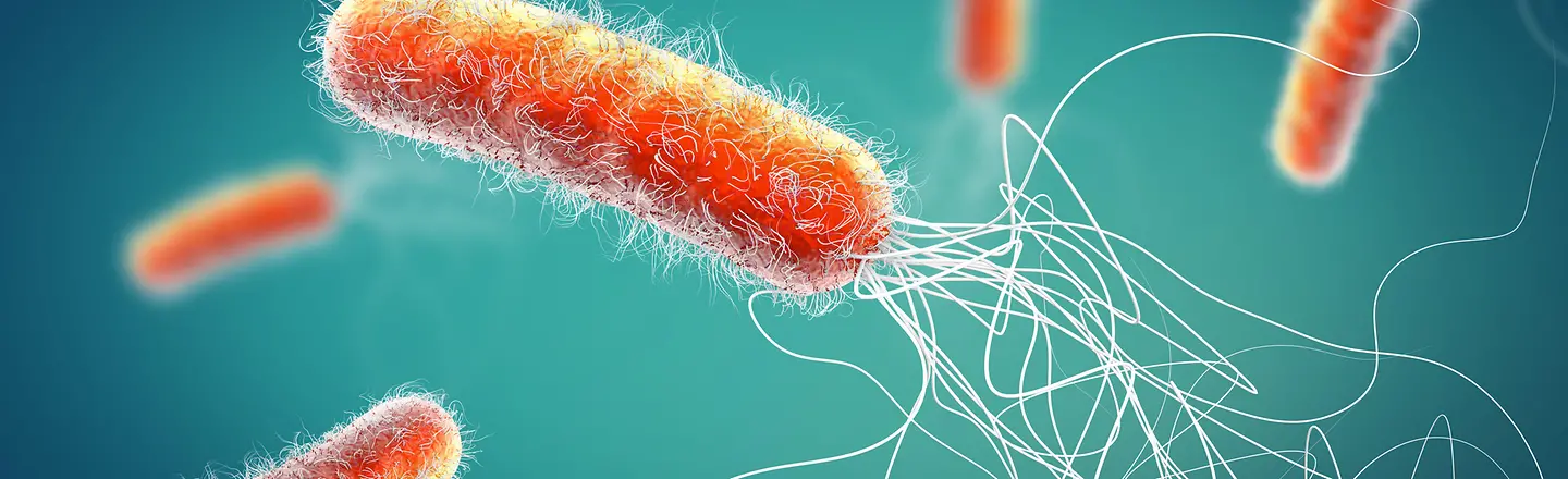 Symbolbild Blutvergiftung