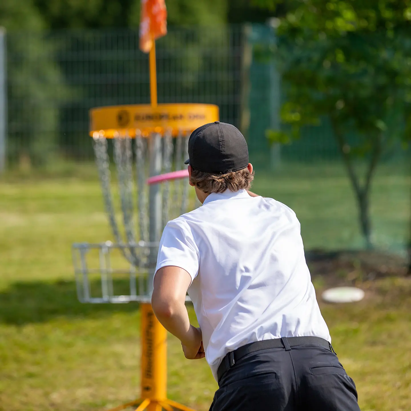 Zu sehen auf diesem Bild ist ein stark vergrößertes Herpesvirus.