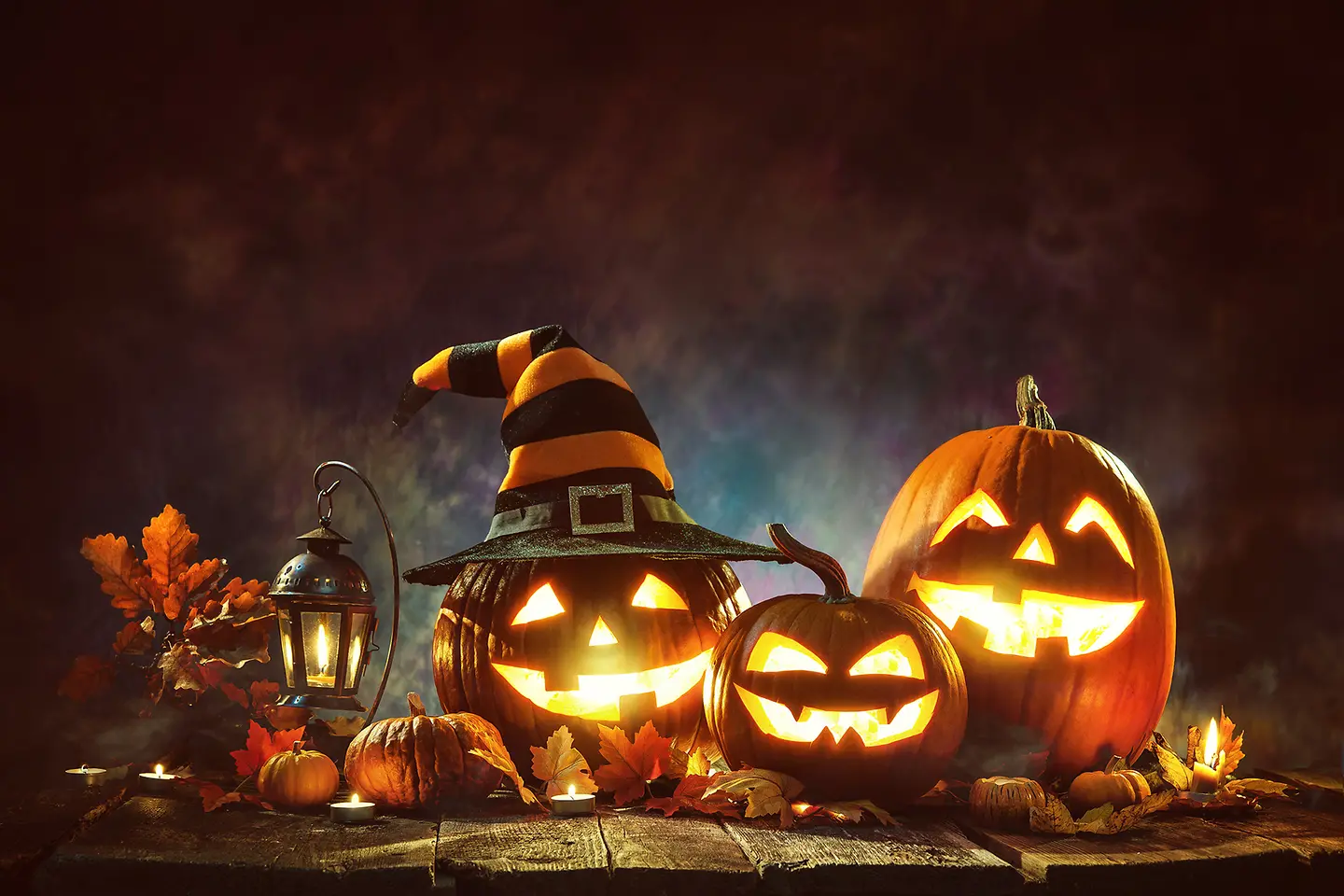 Zu sehen auf diesem szenischen Bild sind drei geschnitzte Halloween-Kürbisse in passender Herbstdeko mit Eichenblätter auf Holz. Der linke Kürbis trägt zudem einen Hexenhut. Alle drei Kürbisse sind von innen hell erleuchtet. 
