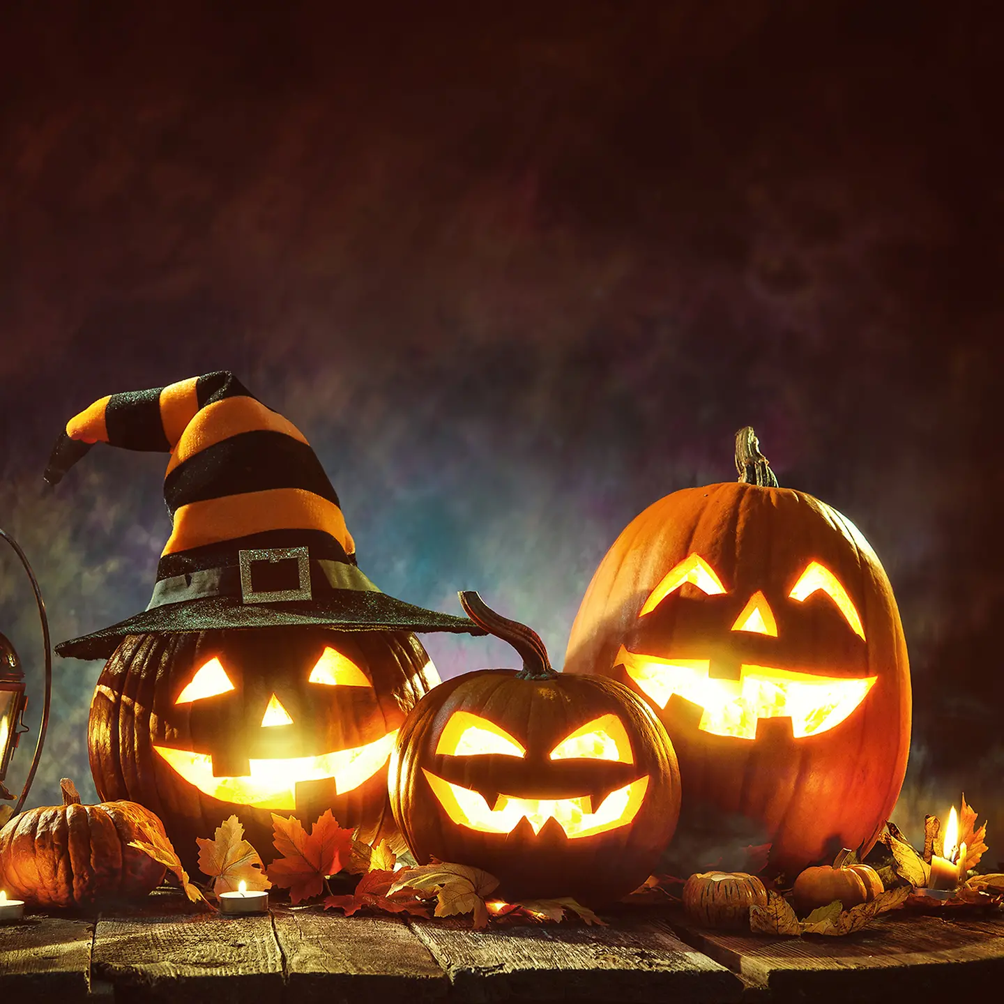 Zu sehen auf diesem szenischen Bild sind drei geschnitzte Halloween-Kürbisse in passender Herbstdeko mit Eichenblätter auf Holz. Der linke Kürbis trägt zudem einen Hexenhut. Alle drei Kürbisse sind von innen hell erleuchtet. 