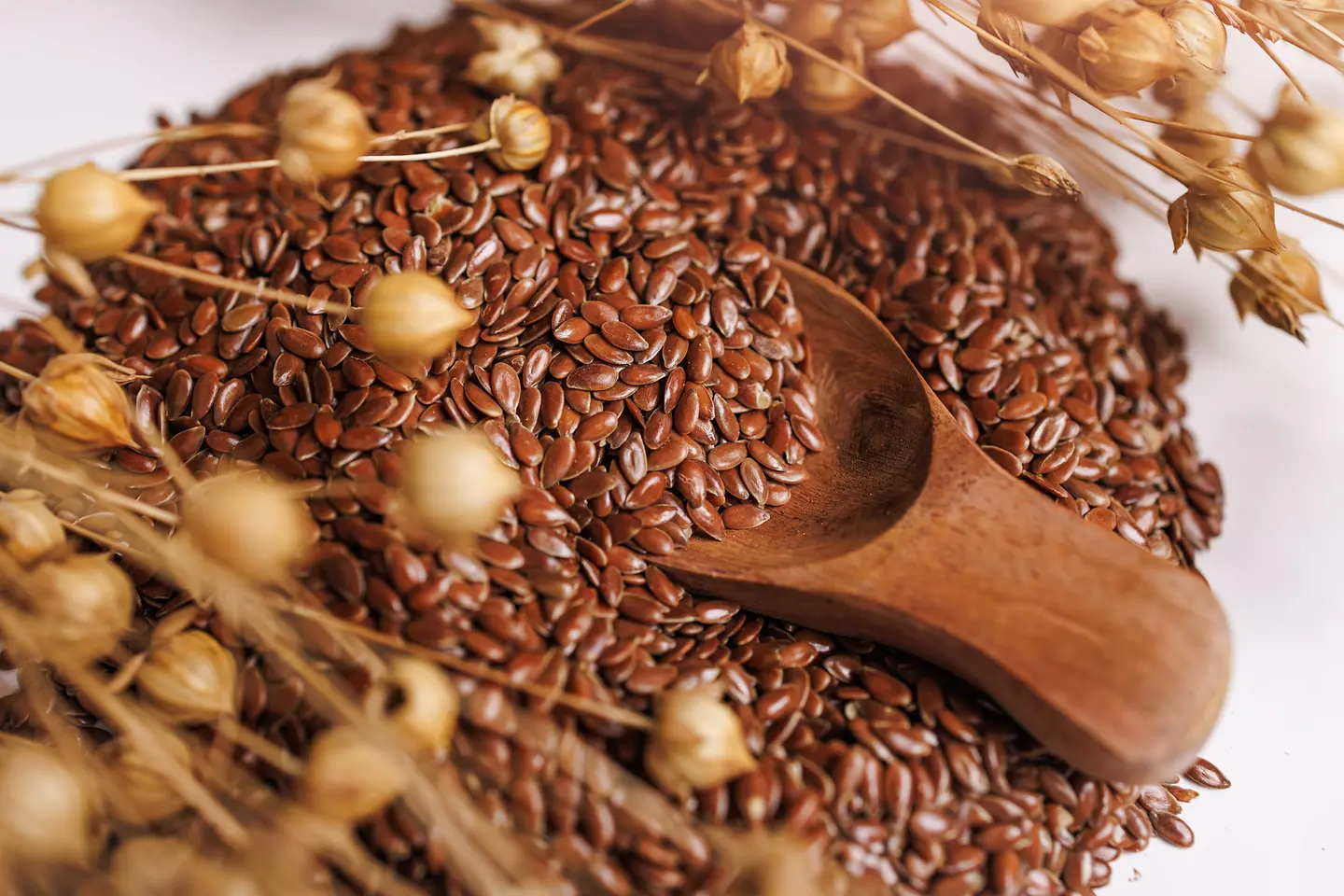 Nahaufnahme von Leinsamen mit einem Holzlöffel