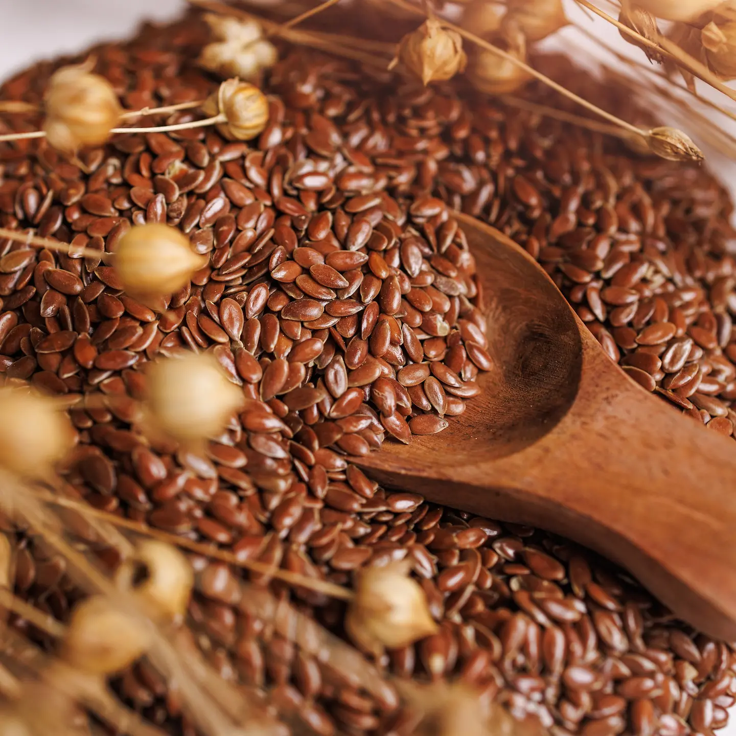 Nahaufnahme von Leinsamen mit einem Holzlöffel