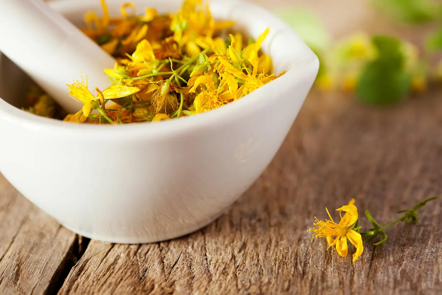 Ein Mörser mit Johanniskraut (Hypericum perforatum) auf einem Tisch