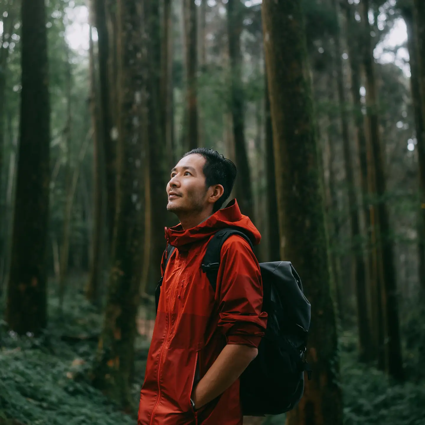 Tai-Chi-Walking: Ein junger Mann beim achtsamen Gehen im Wald
